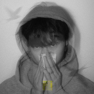 网络客户小鹤导航
